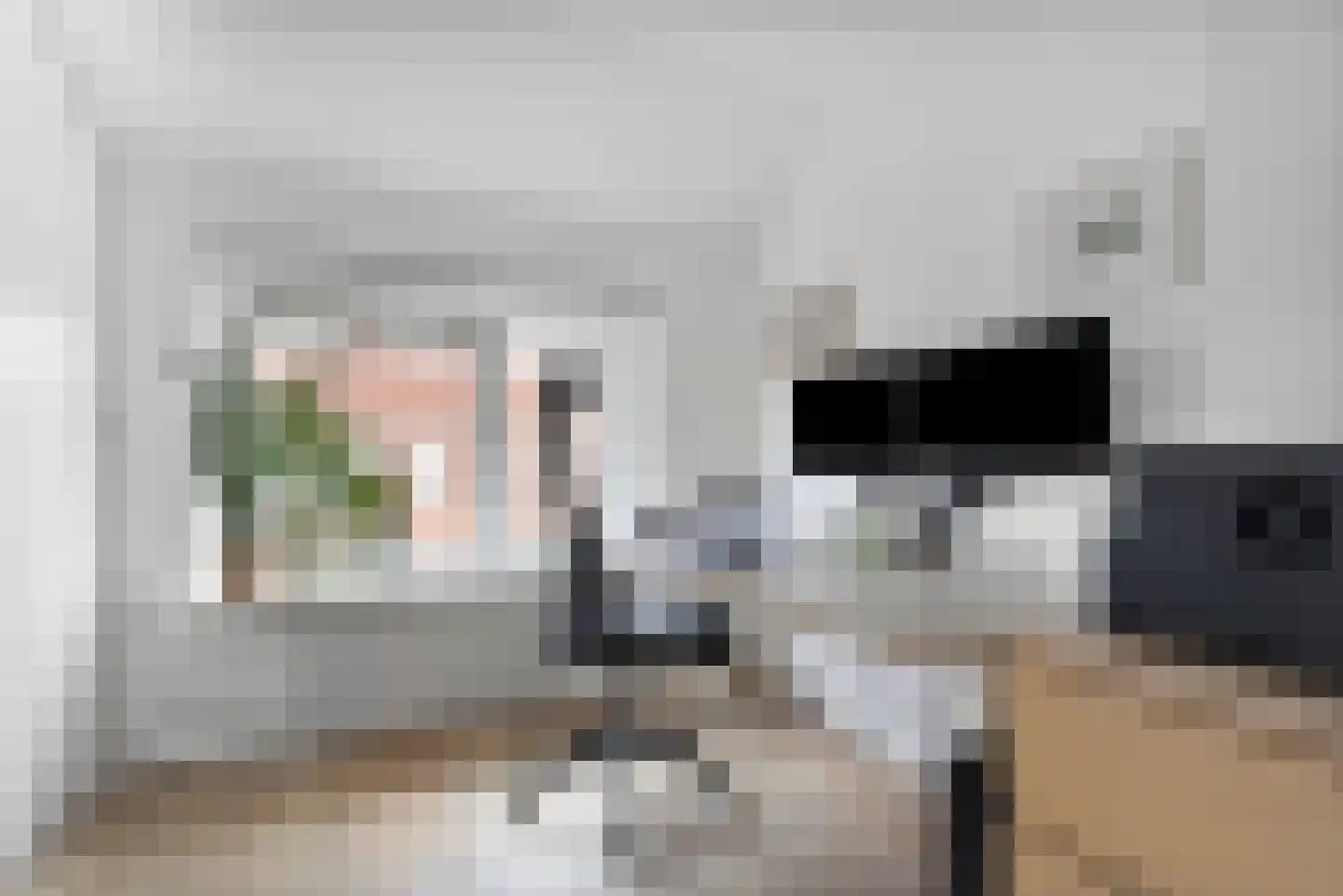 Cornelis van Eerdenstraat 46 Zoetermeer thumbnail 20