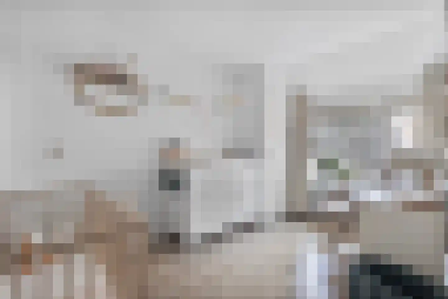 Cornelis van Eerdenstraat 46 Zoetermeer thumbnail 22