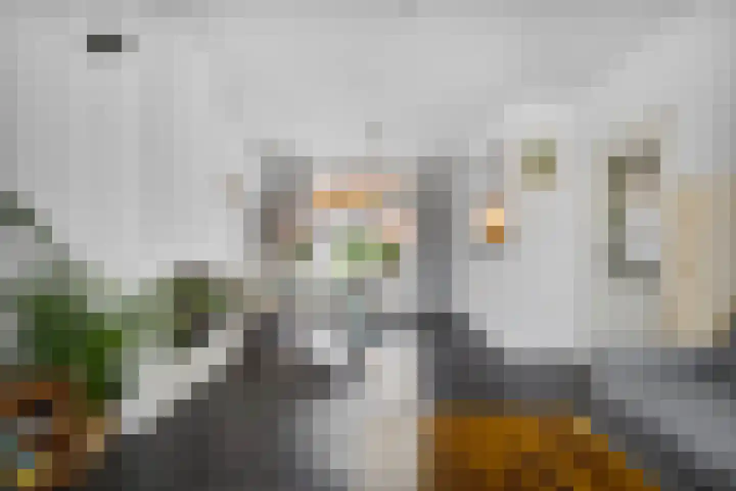 Cornelis van Eerdenstraat 46 Zoetermeer thumbnail 7