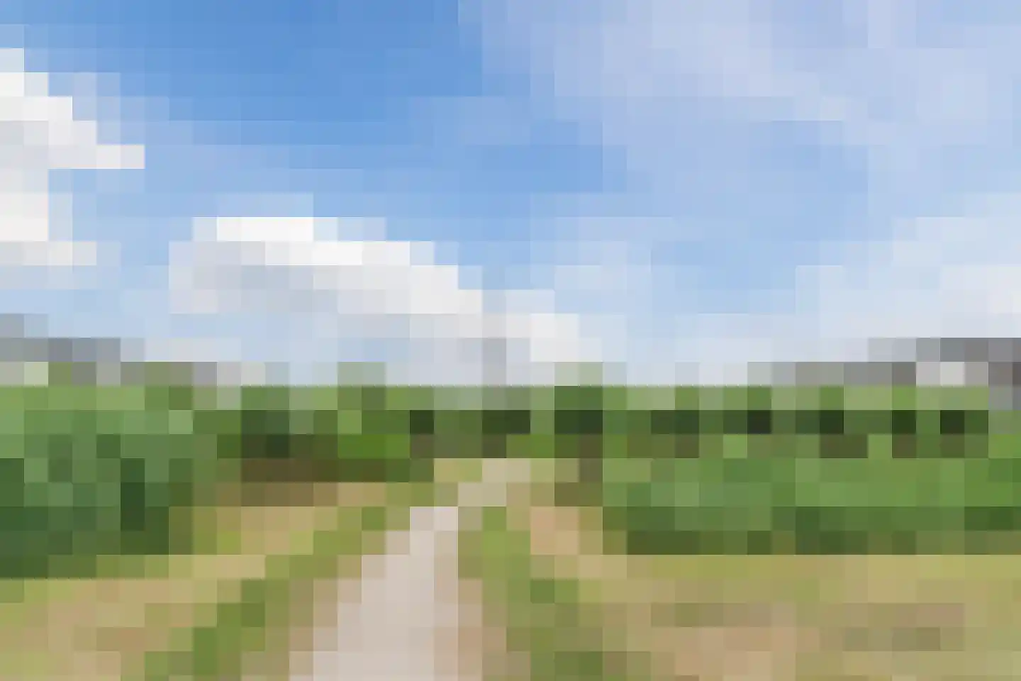 Cornelis van Eesterenlaan 34 Oegstgeest thumbnail 40
