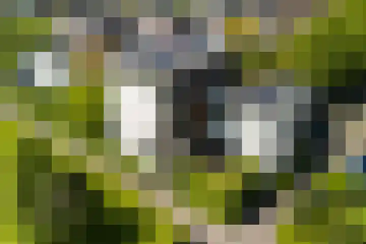 Cornelis van Eesterenlaan 51 in Oegstgeest