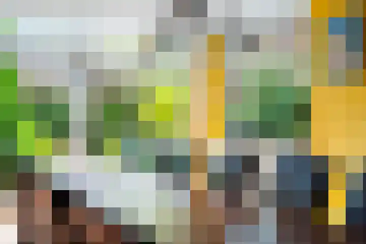 Cornelis van Eesterenlaan 51 Oegstgeest thumbnail 13