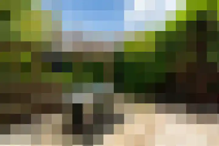 Cornelis van Eesterenlaan 51 Oegstgeest thumbnail 18
