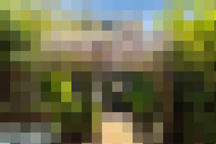 Cornelis van Eesterenlaan 51 Oegstgeest thumbnail 19