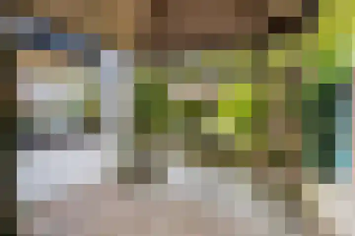 Cornelis van Eesterenlaan 51 Oegstgeest thumbnail 26