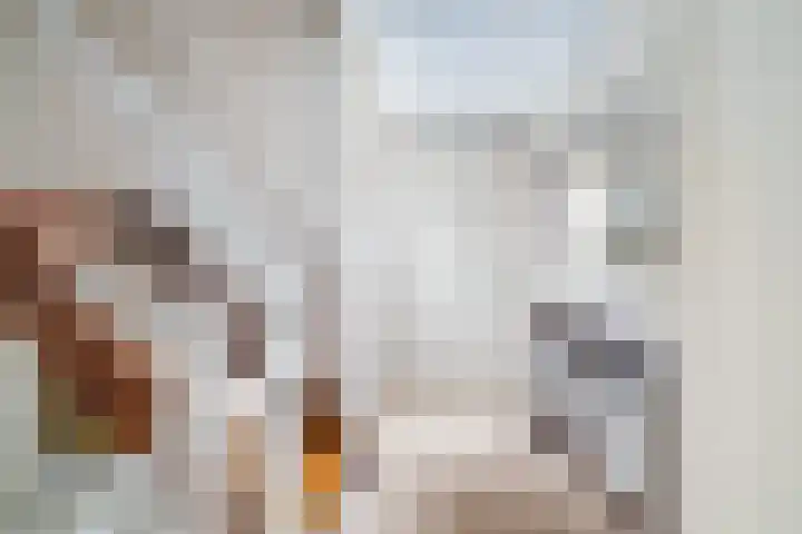 Cornelis van Eesterenlaan 51 Oegstgeest thumbnail 37