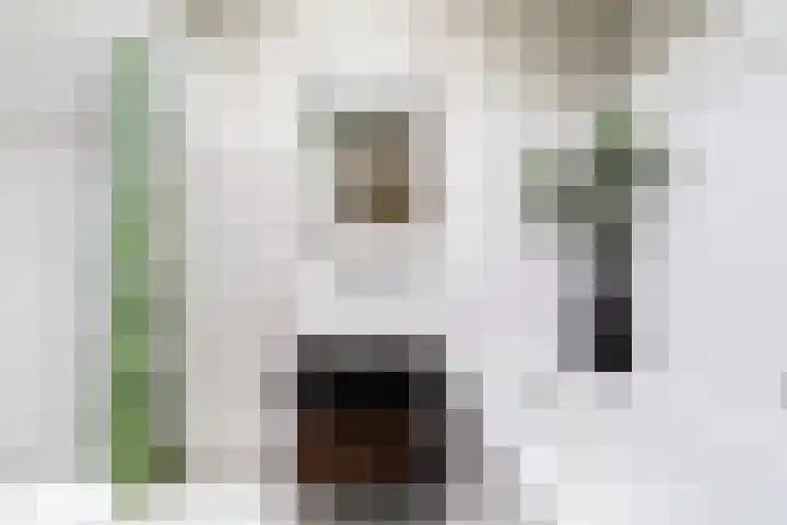 Cornelis van Eesterenlaan 51 Oegstgeest thumbnail 50