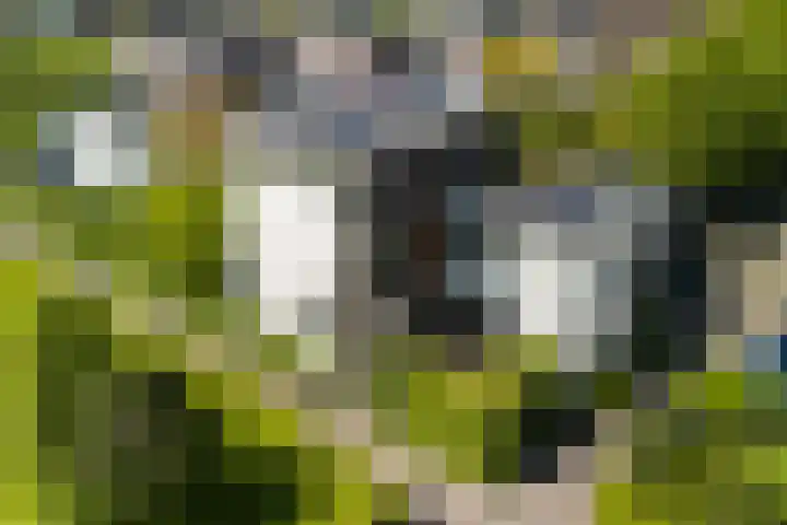 Cornelis van Eesterenlaan 51 Oegstgeest thumbnail 60