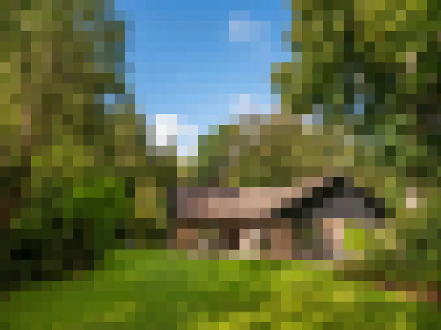 Cornelis van Foreestlaan 11 in Schoorl