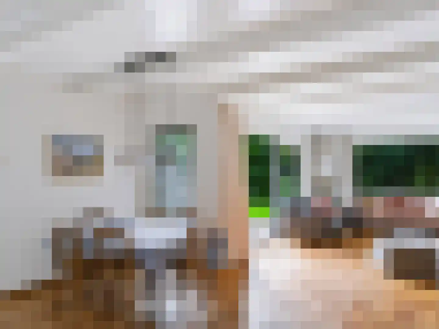 Cornelis van Foreestlaan 11 Schoorl thumbnail 11
