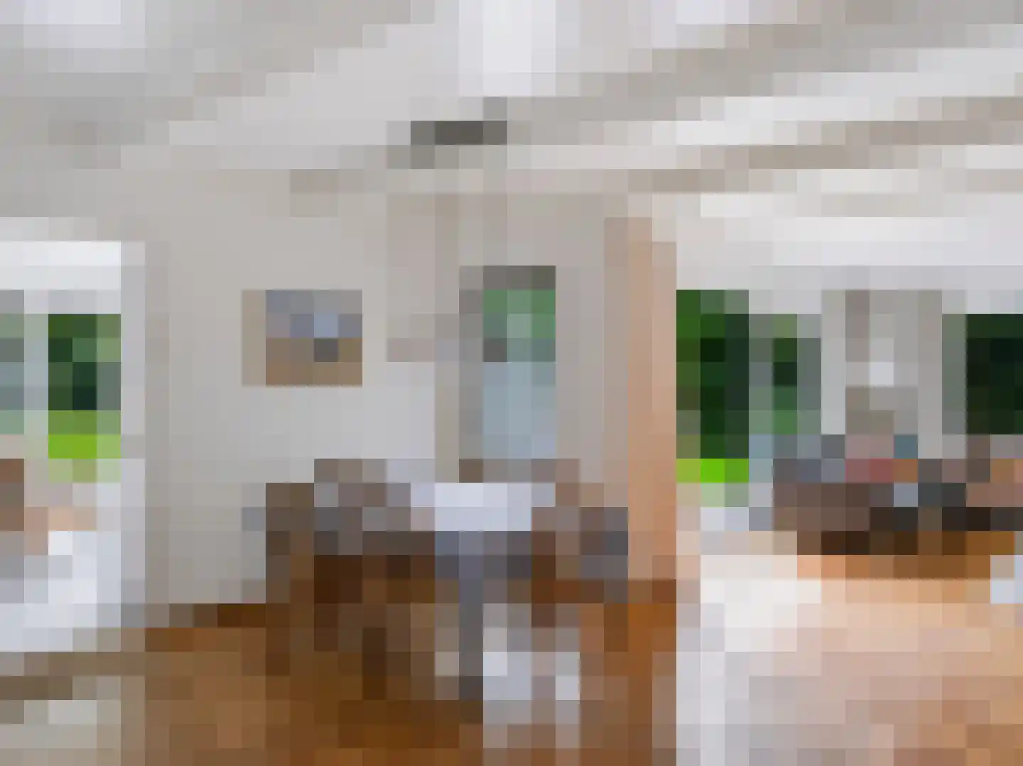 Cornelis van Foreestlaan 11 Schoorl thumbnail 12