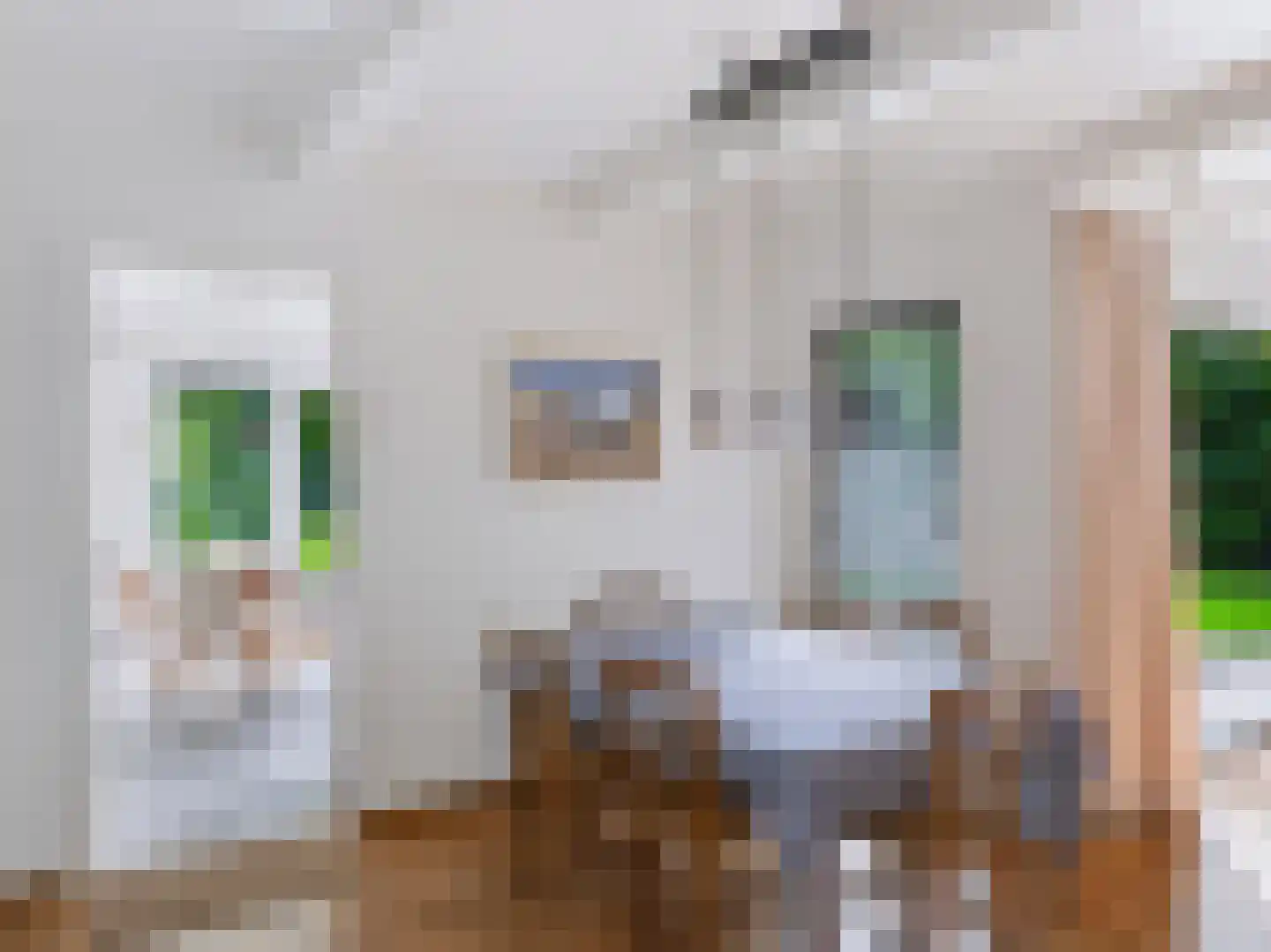 Cornelis van Foreestlaan 11 Schoorl thumbnail 13