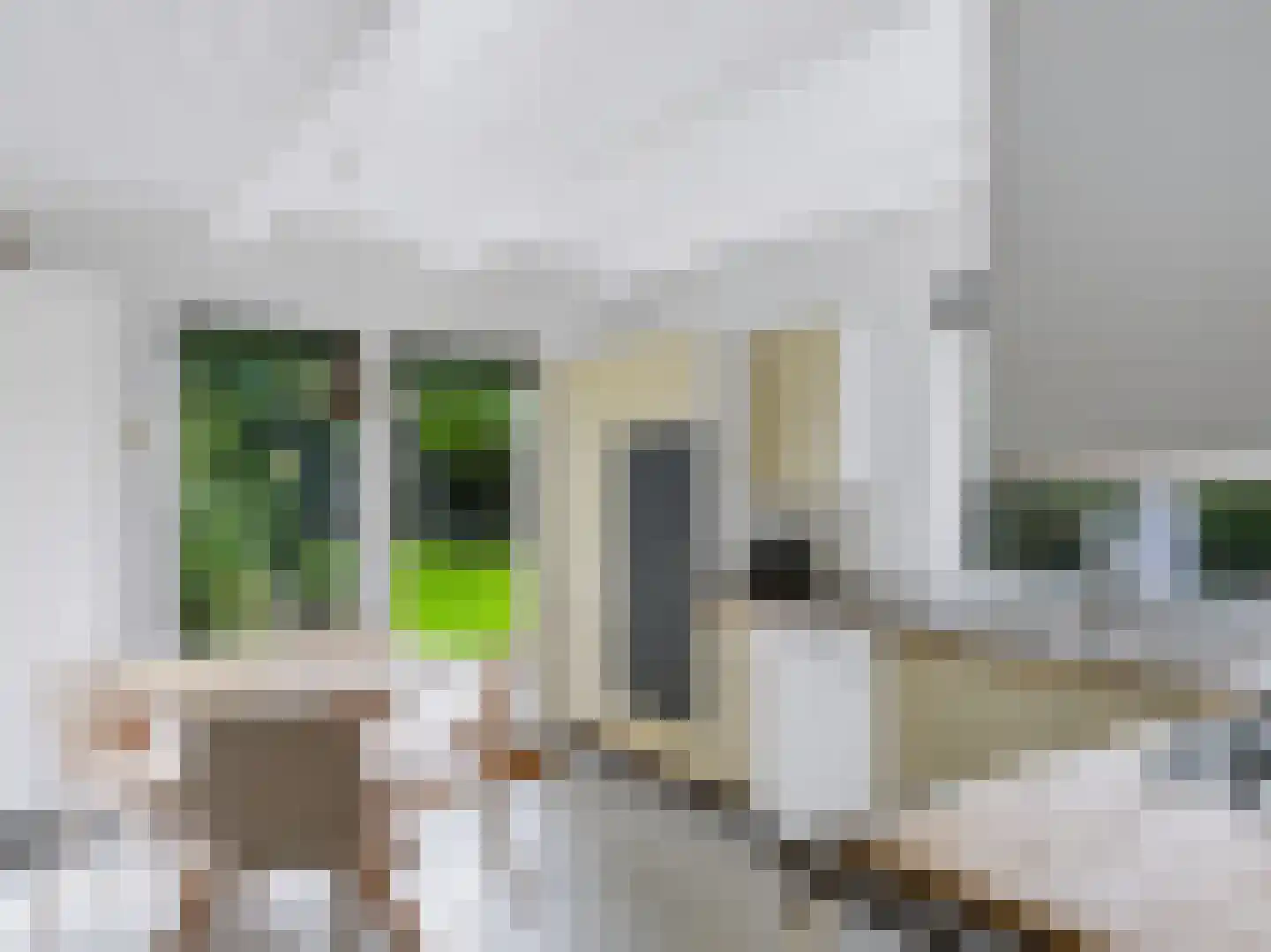 Cornelis van Foreestlaan 11 Schoorl thumbnail 14