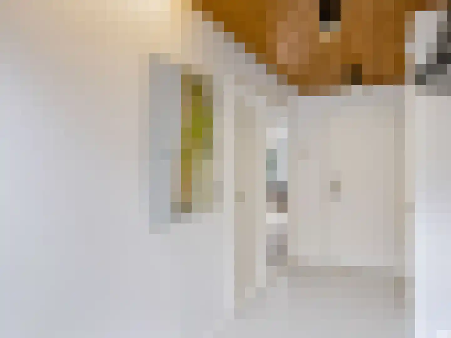 Cornelis van Foreestlaan 11 Schoorl thumbnail 19