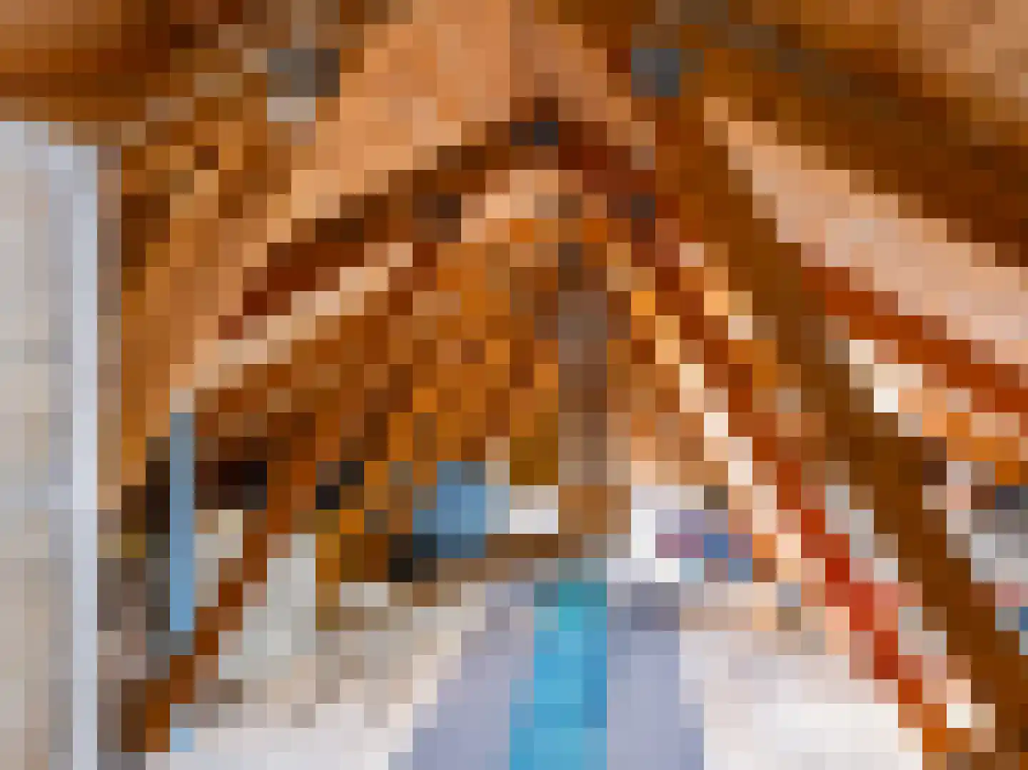 Cornelis van Foreestlaan 11 Schoorl thumbnail 28