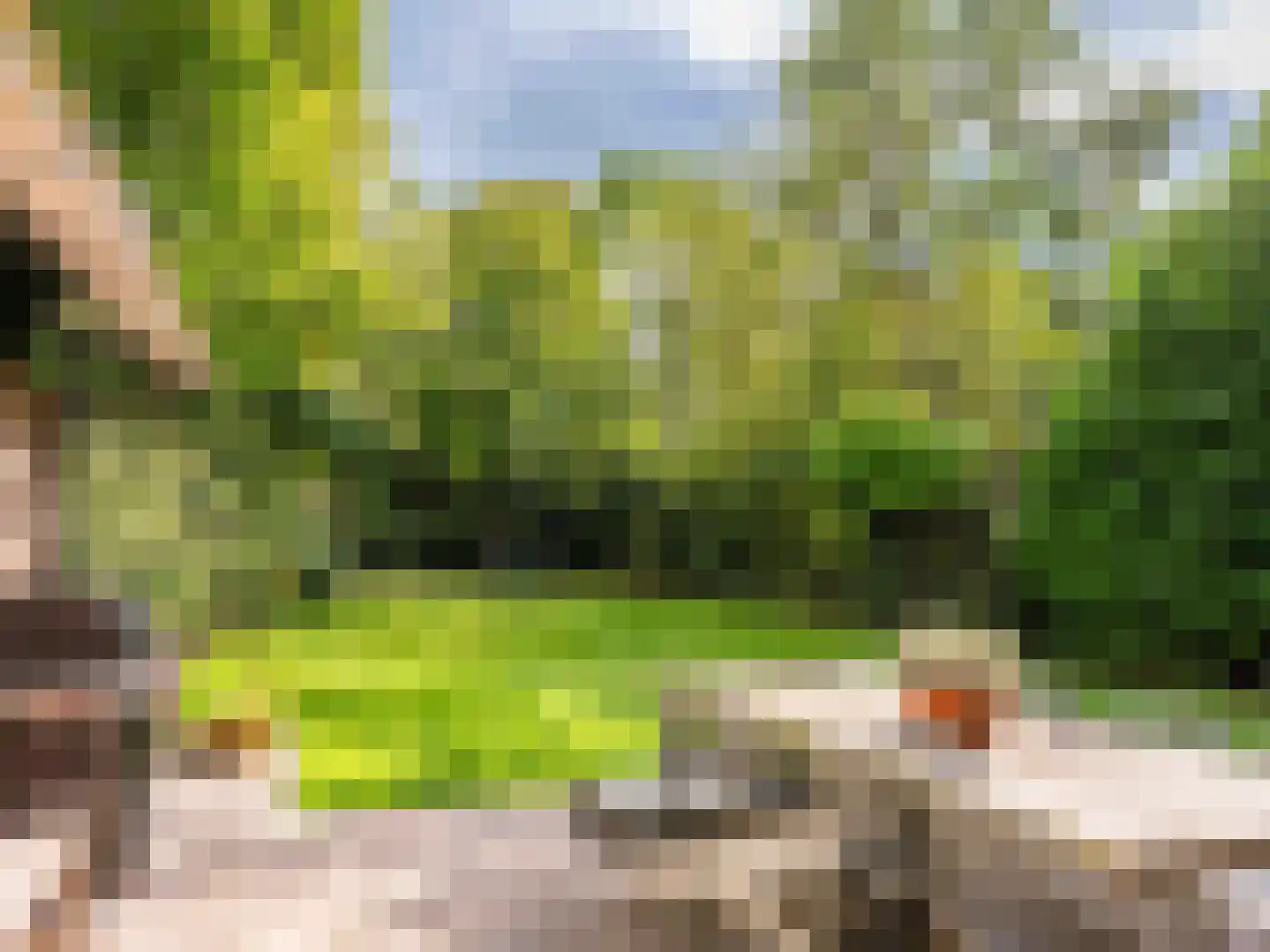 Cornelis van Foreestlaan 11 Schoorl foto 3