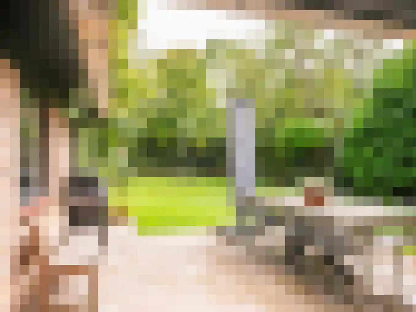 Cornelis van Foreestlaan 11 Schoorl thumbnail 32