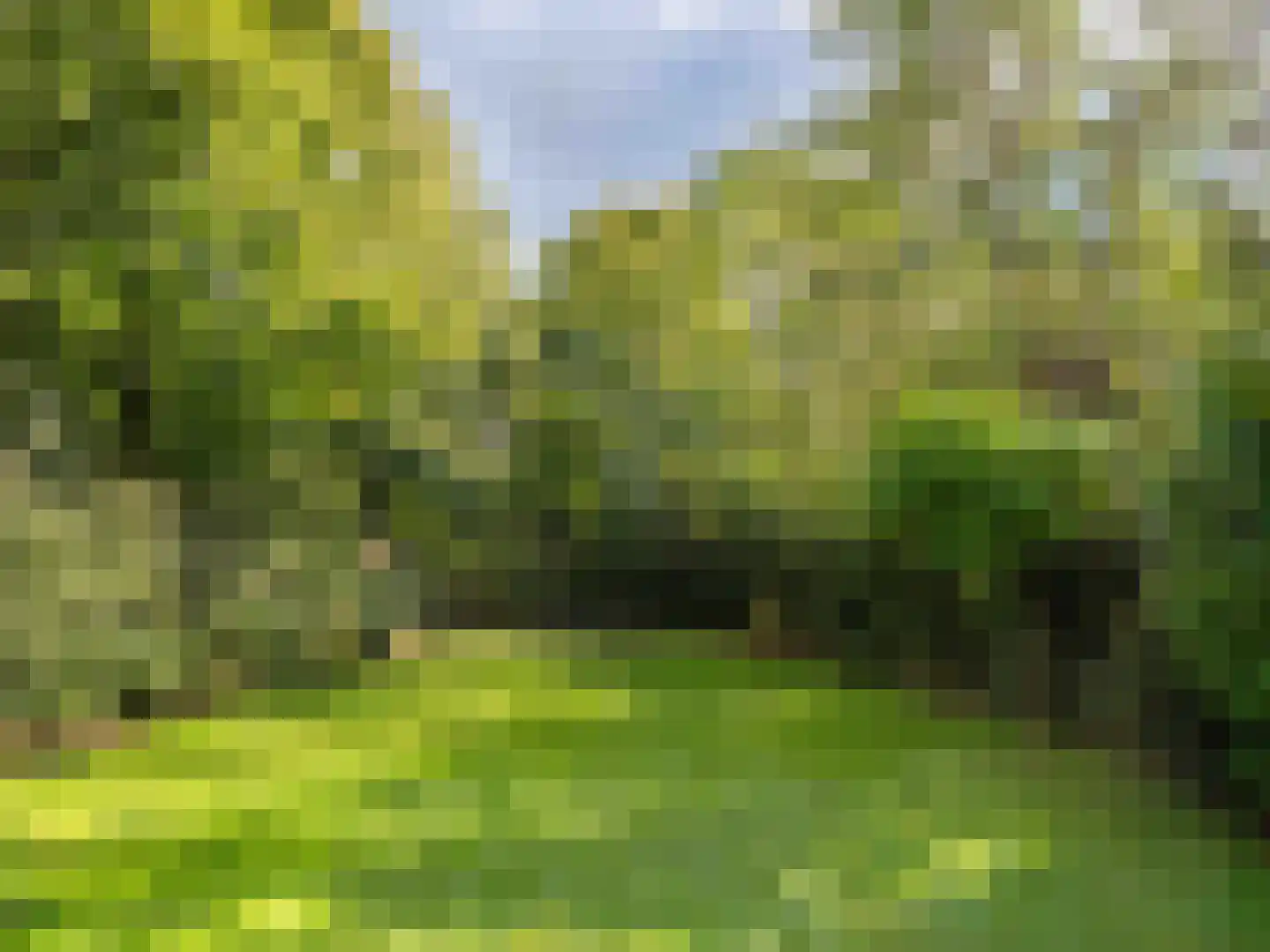 Cornelis van Foreestlaan 11 Schoorl thumbnail 33
