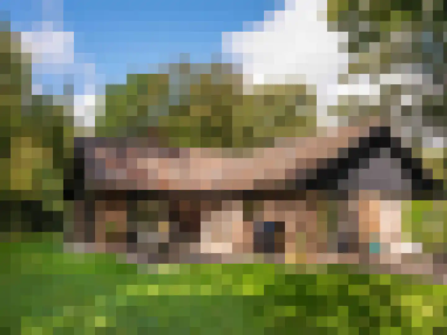 Cornelis van Foreestlaan 11 Schoorl thumbnail 34