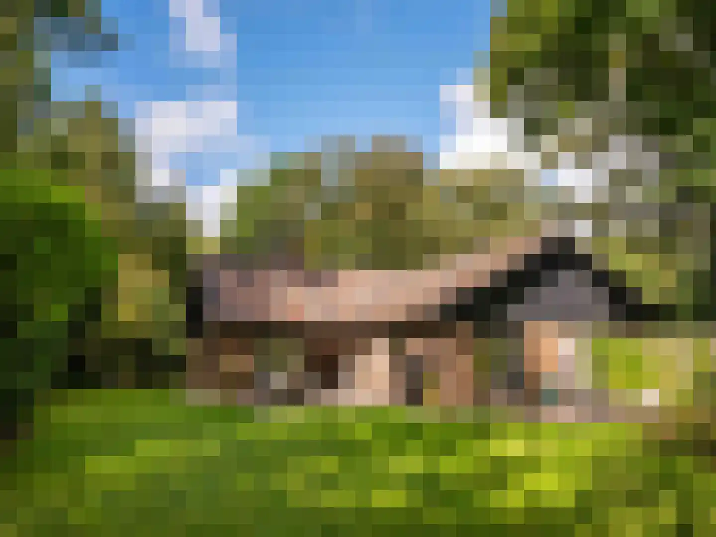 Cornelis van Foreestlaan 11 Schoorl thumbnail 35