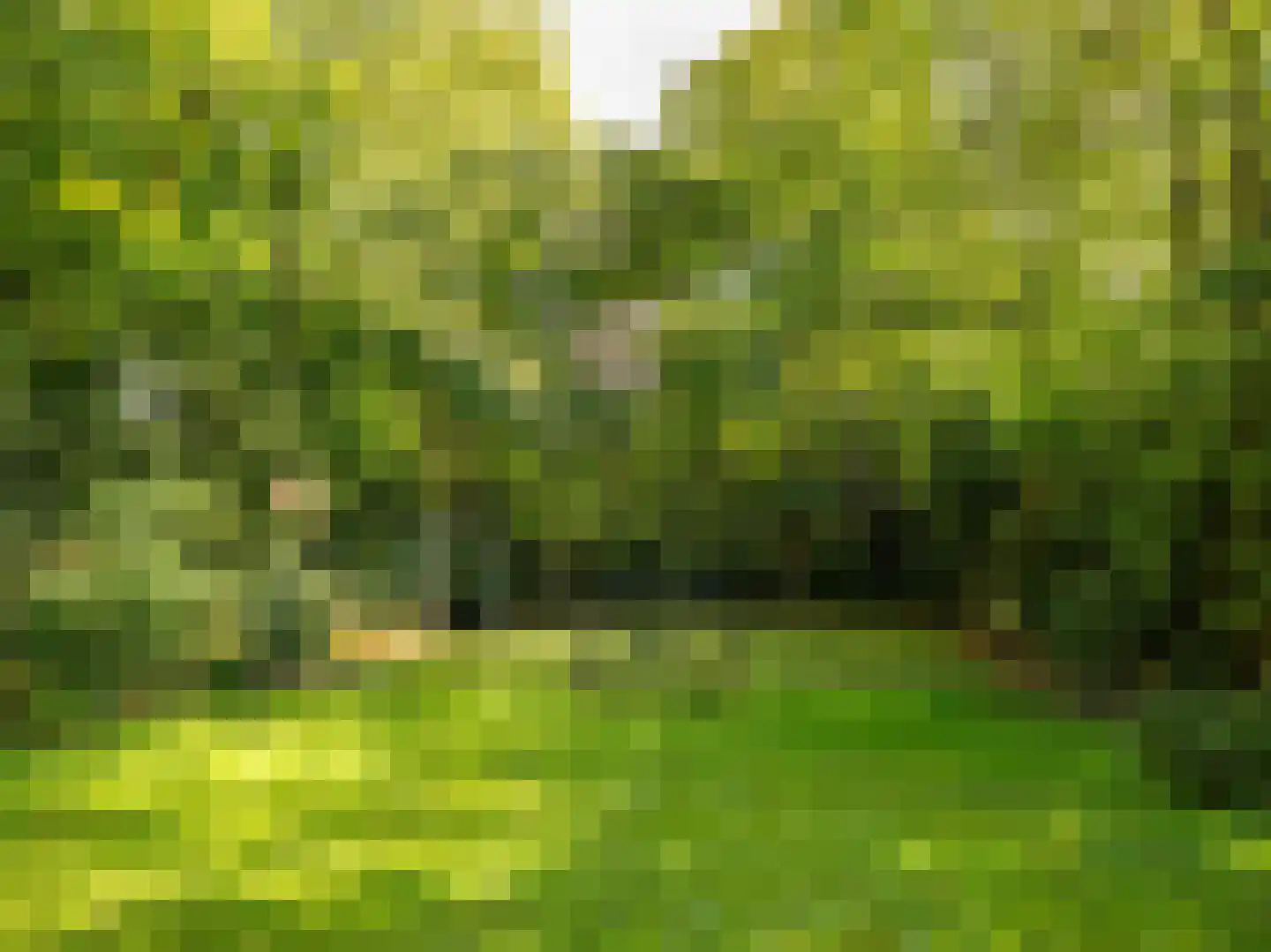 Cornelis van Foreestlaan 11 Schoorl thumbnail 36