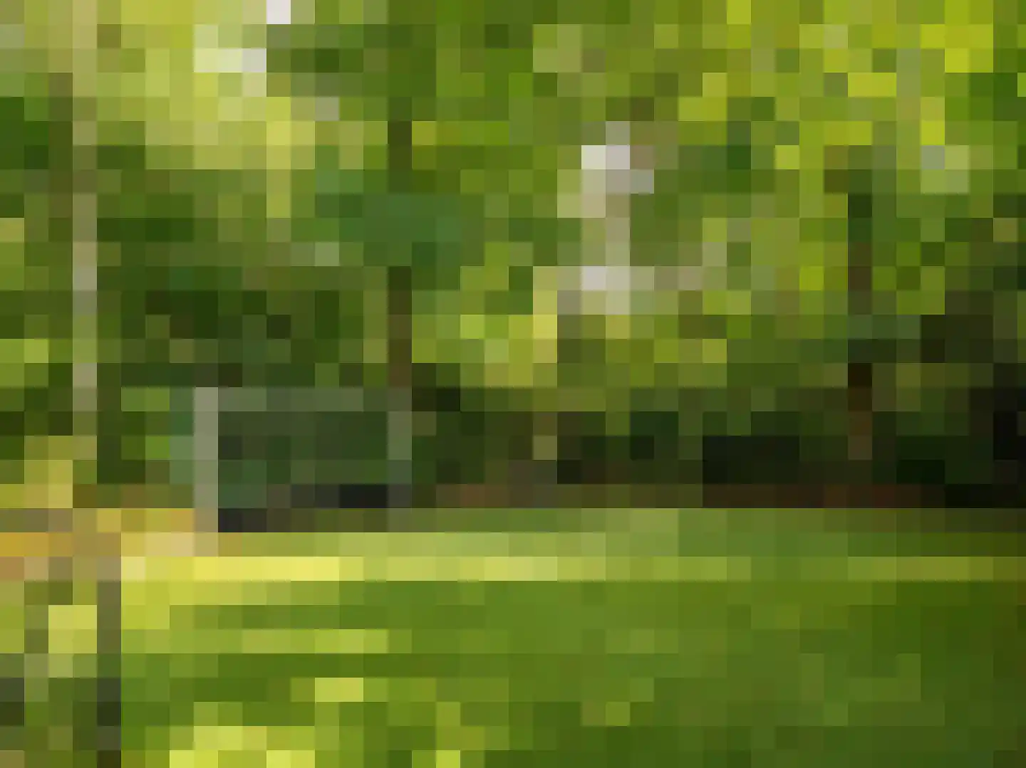 Cornelis van Foreestlaan 11 Schoorl thumbnail 37