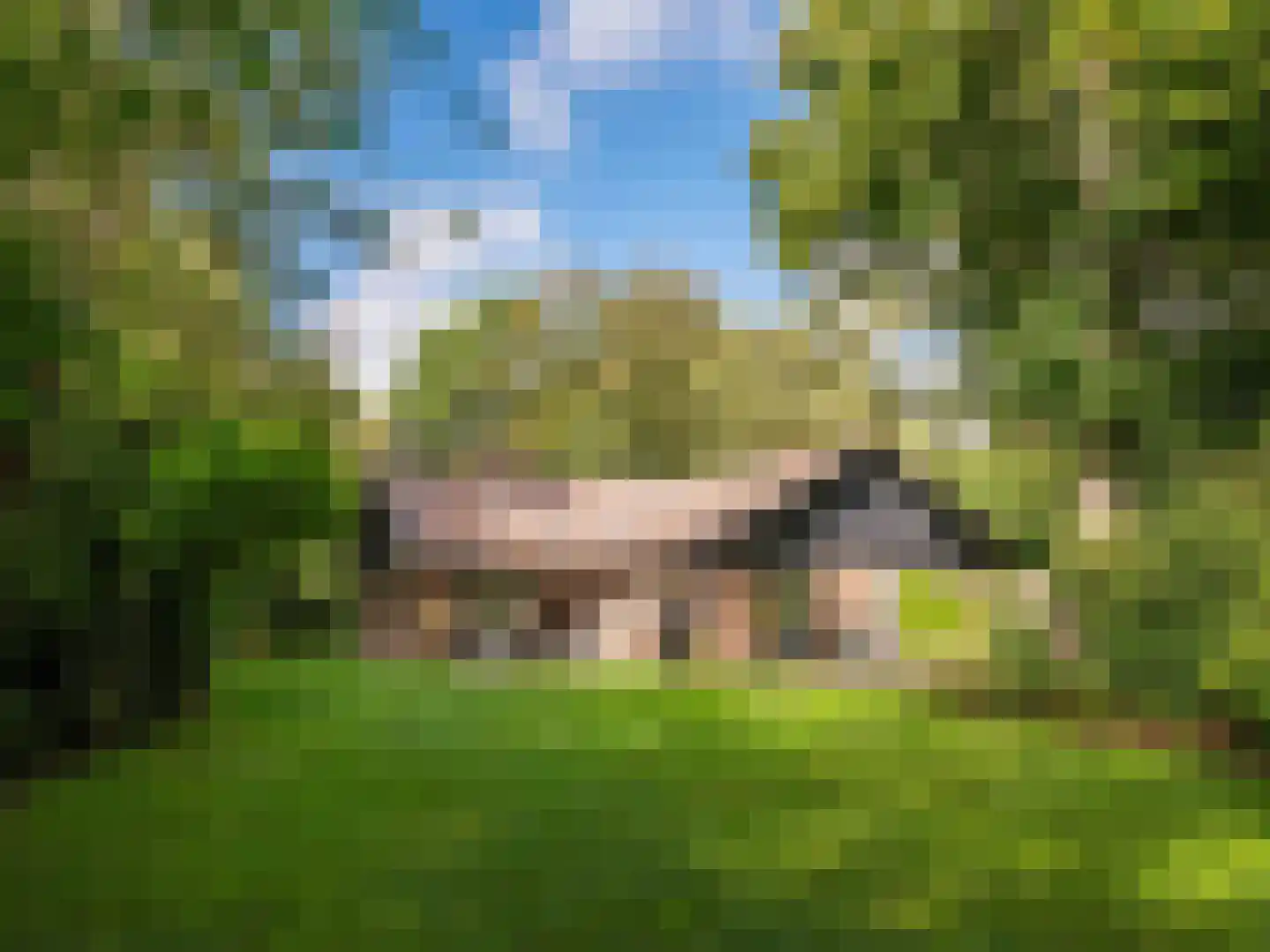 Cornelis van Foreestlaan 11 Schoorl thumbnail 38