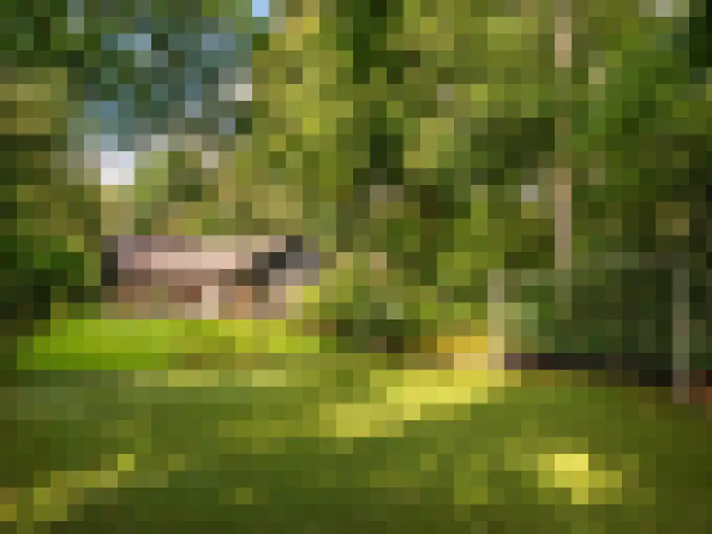 Cornelis van Foreestlaan 11 Schoorl thumbnail 39