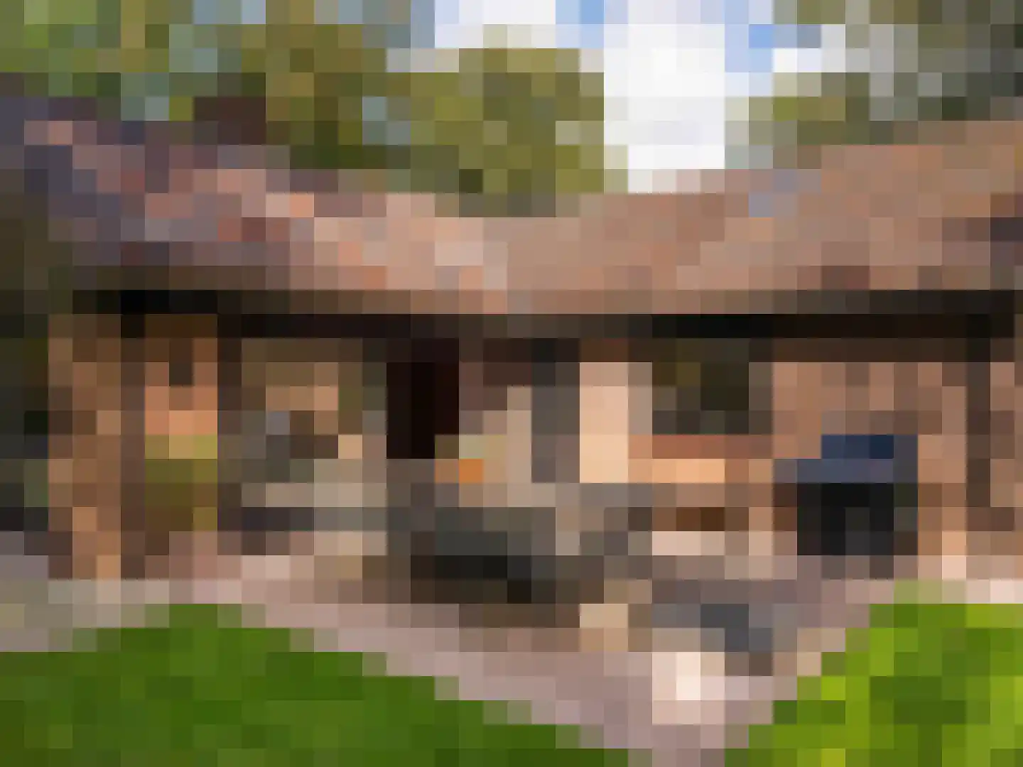 Cornelis van Foreestlaan 11 Schoorl thumbnail 4