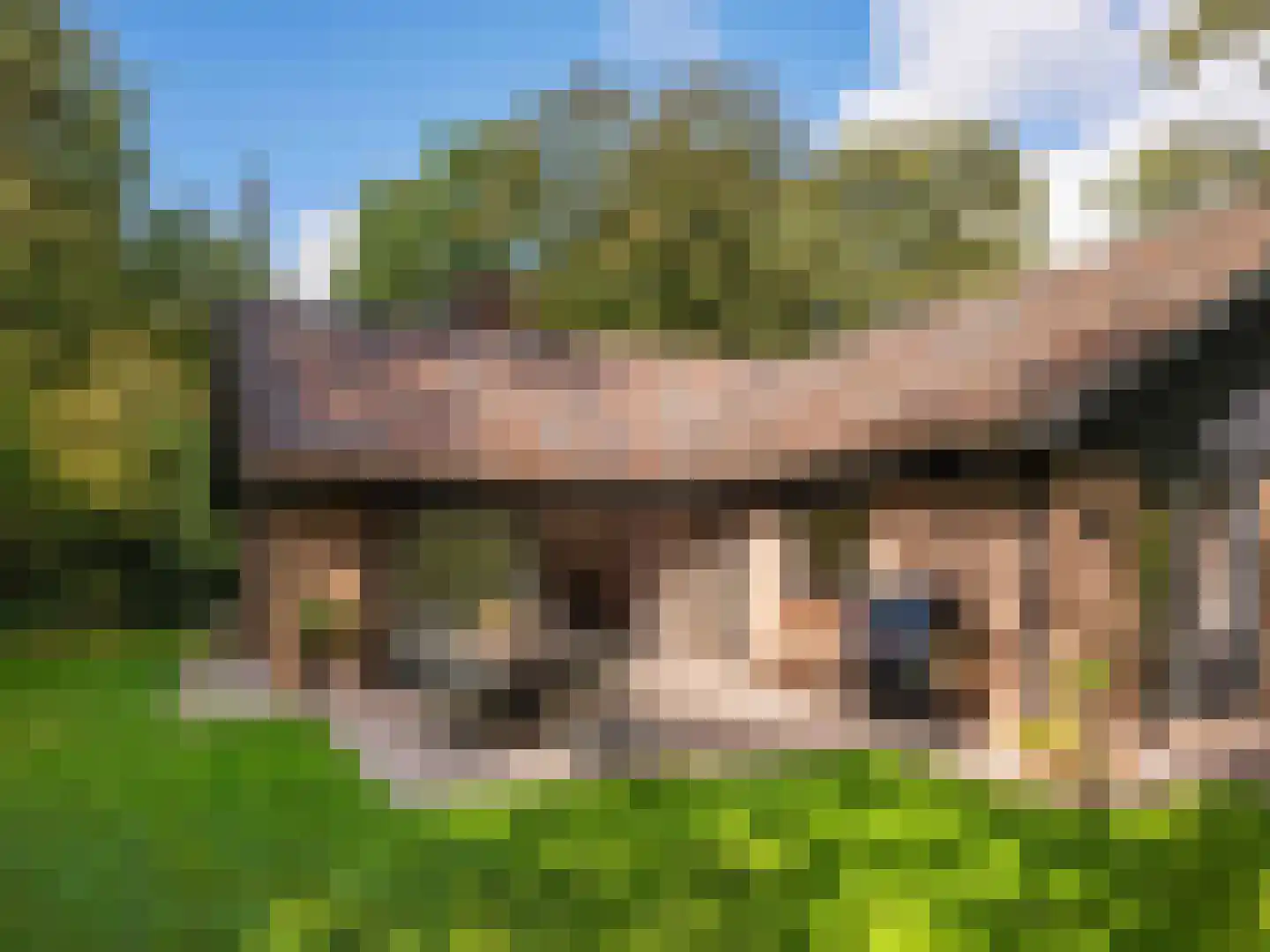 Cornelis van Foreestlaan 11 Schoorl thumbnail 40