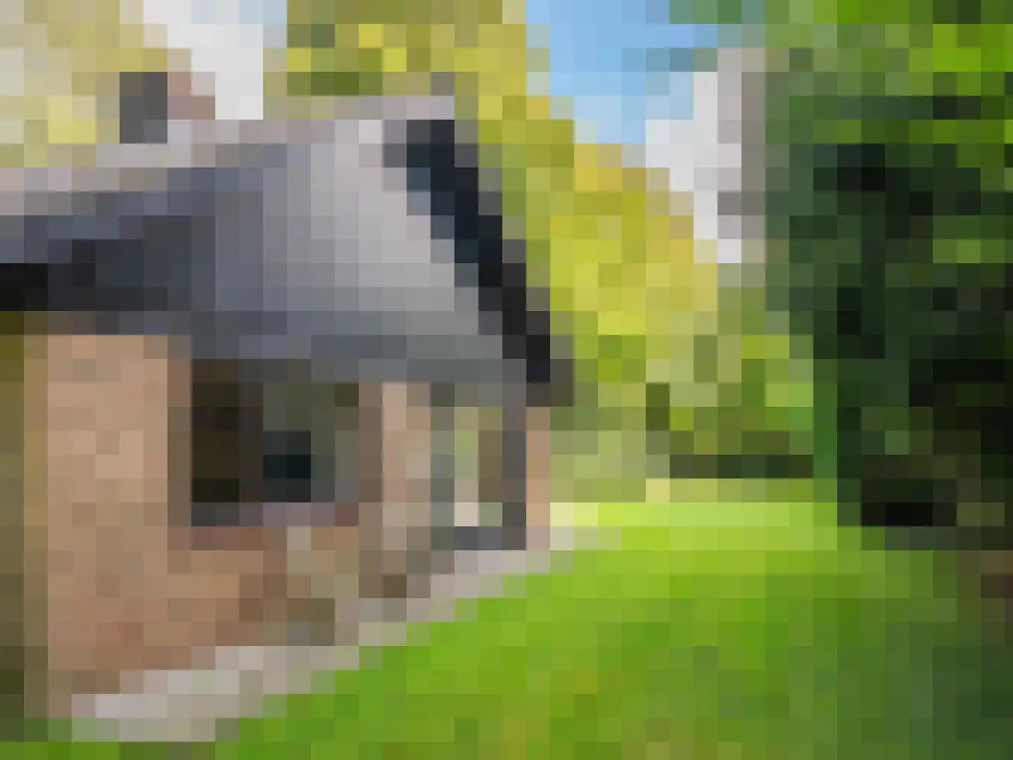 Cornelis van Foreestlaan 11 Schoorl thumbnail 41