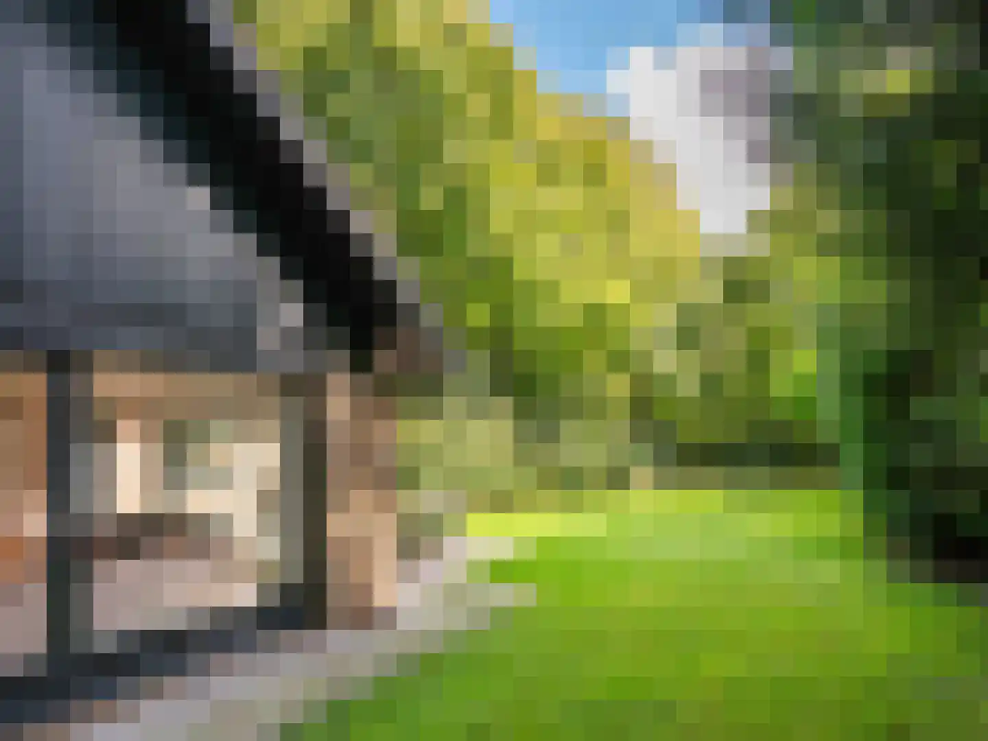 Cornelis van Foreestlaan 11 Schoorl thumbnail 42