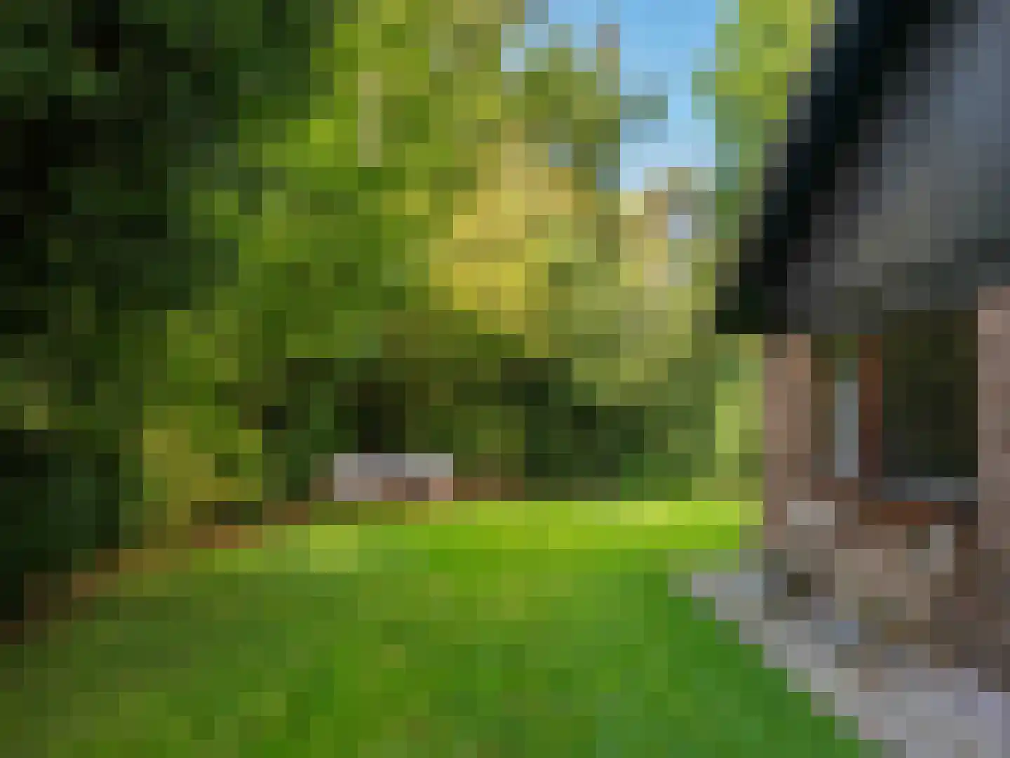 Cornelis van Foreestlaan 11 Schoorl thumbnail 45