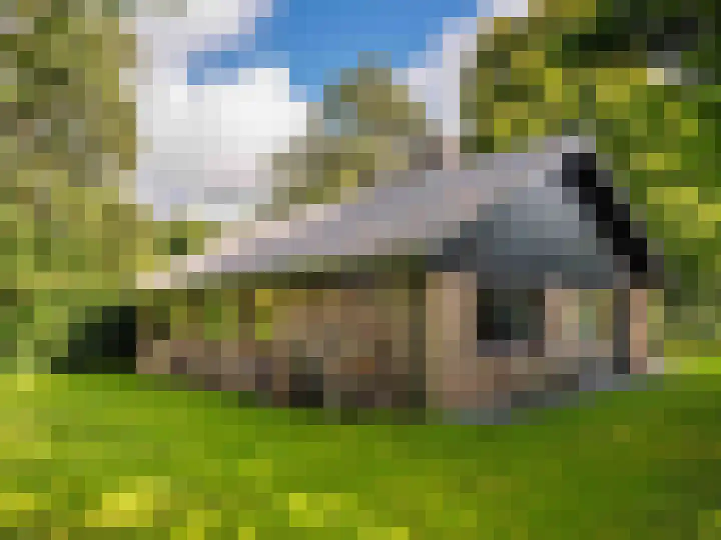 Cornelis van Foreestlaan 11 Schoorl thumbnail 46