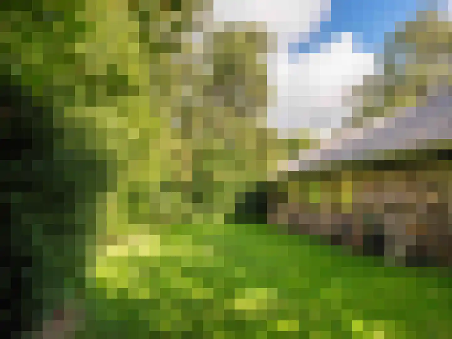 Cornelis van Foreestlaan 11 Schoorl thumbnail 47