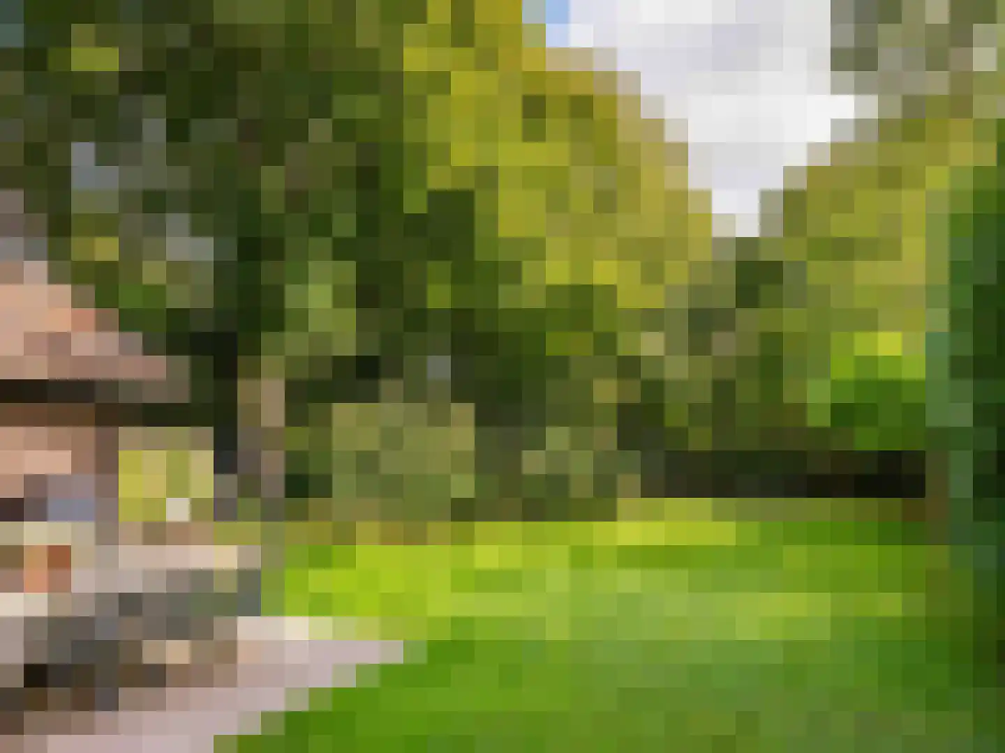 Cornelis van Foreestlaan 11 Schoorl thumbnail 48