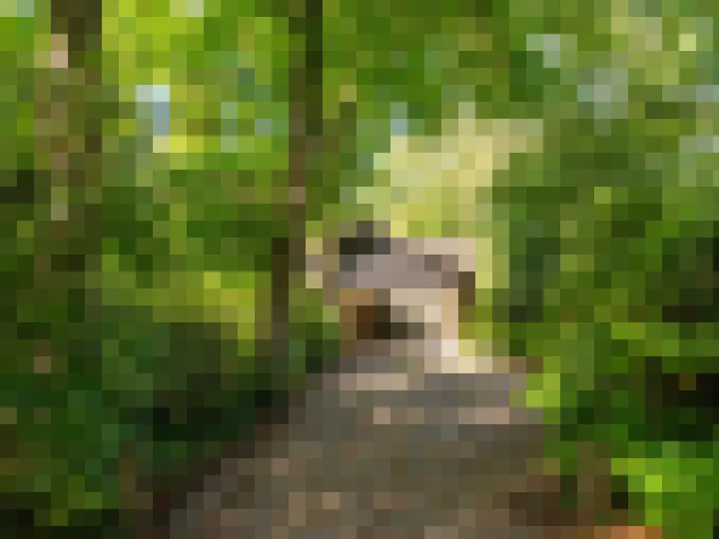 Cornelis van Foreestlaan 11 Schoorl thumbnail 49