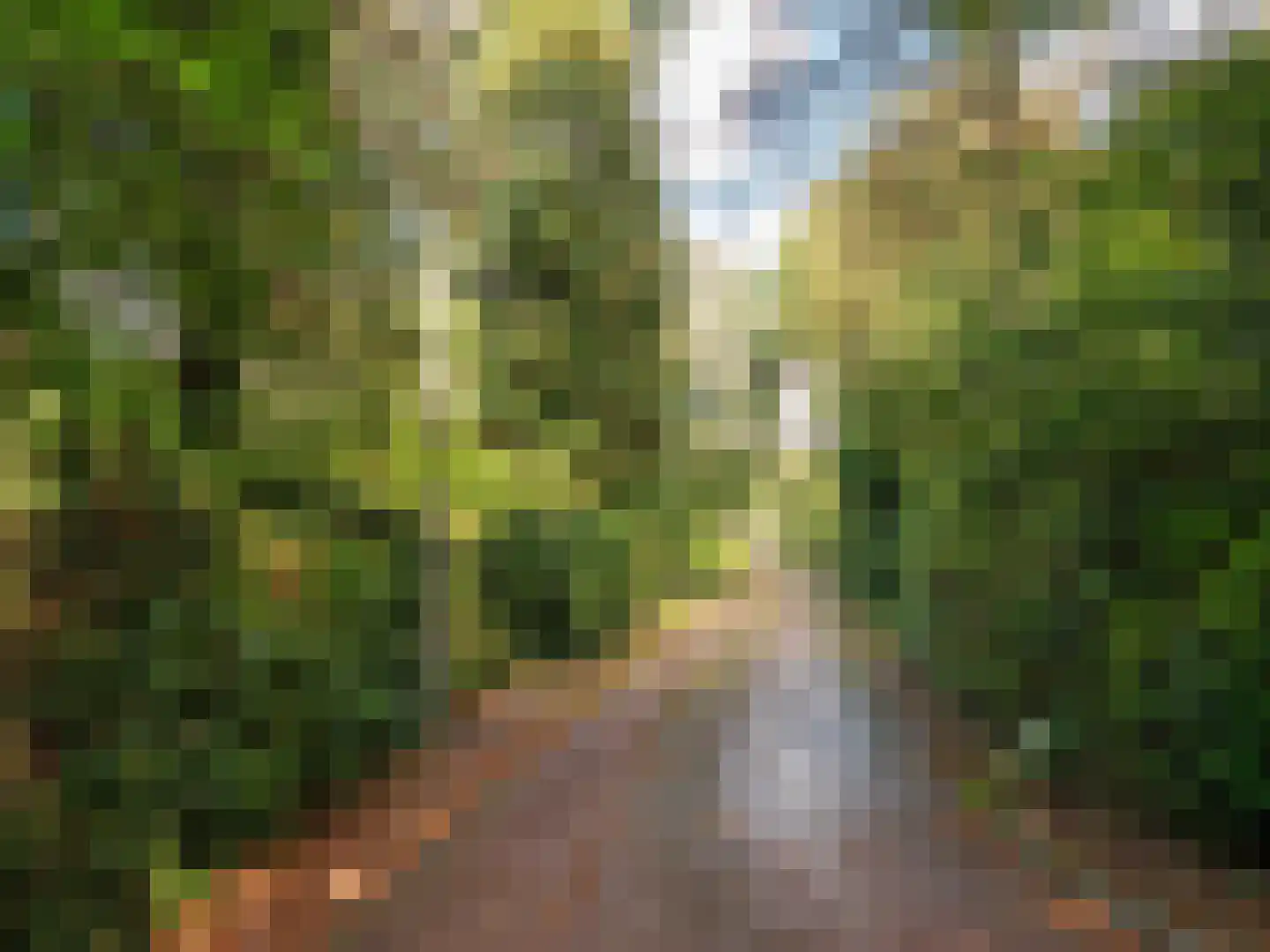 Cornelis van Foreestlaan 11 Schoorl thumbnail 50