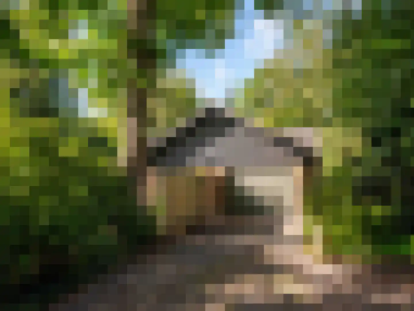 Cornelis van Foreestlaan 11 Schoorl thumbnail 51