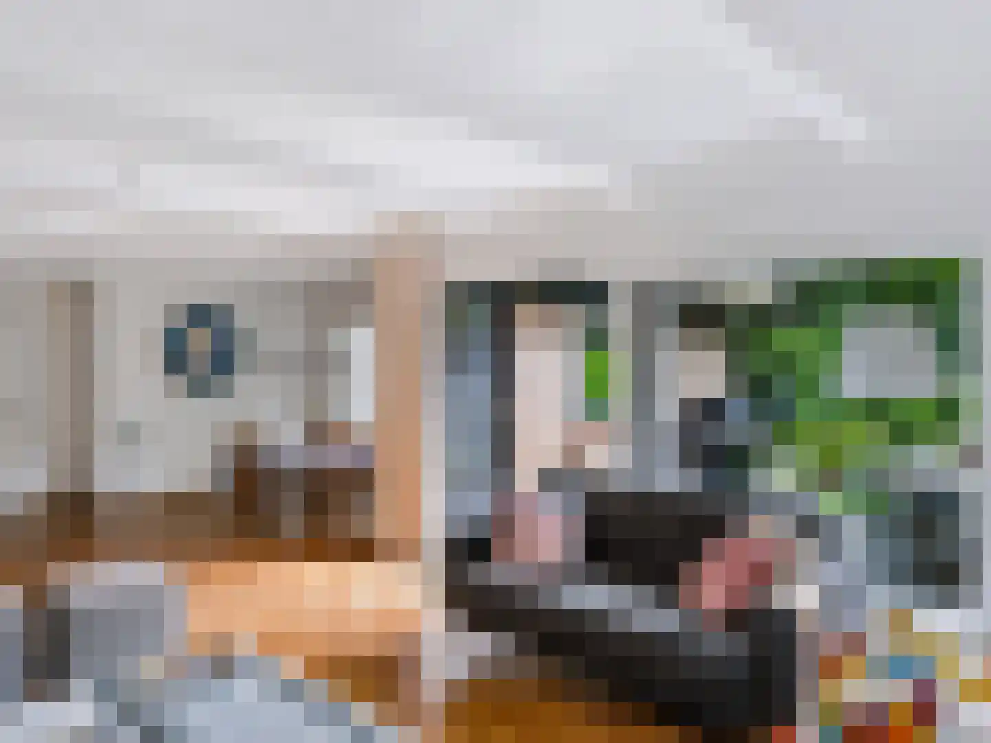 Cornelis van Foreestlaan 11 Schoorl thumbnail 8