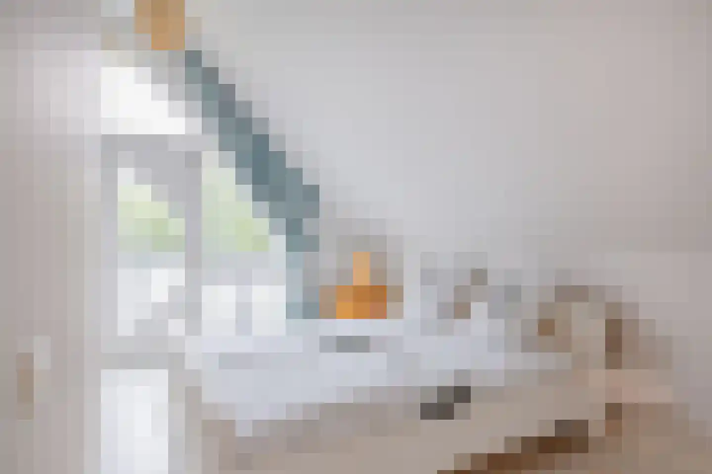 Cornelis van Foreestlaan 6 Schoorl thumbnail 20