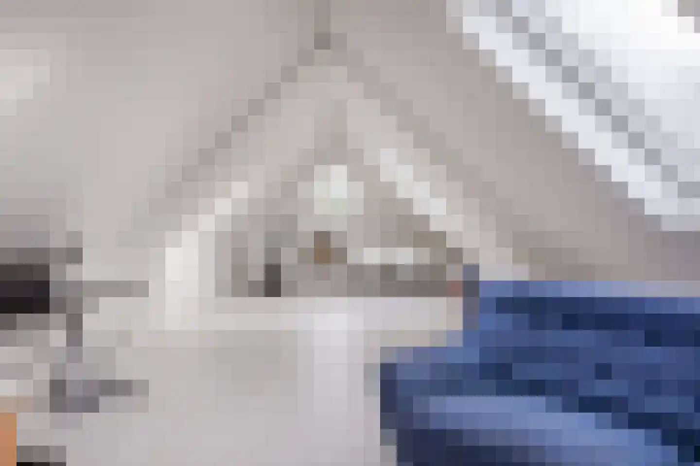 Cornelis van Foreestlaan 6 Schoorl thumbnail 22