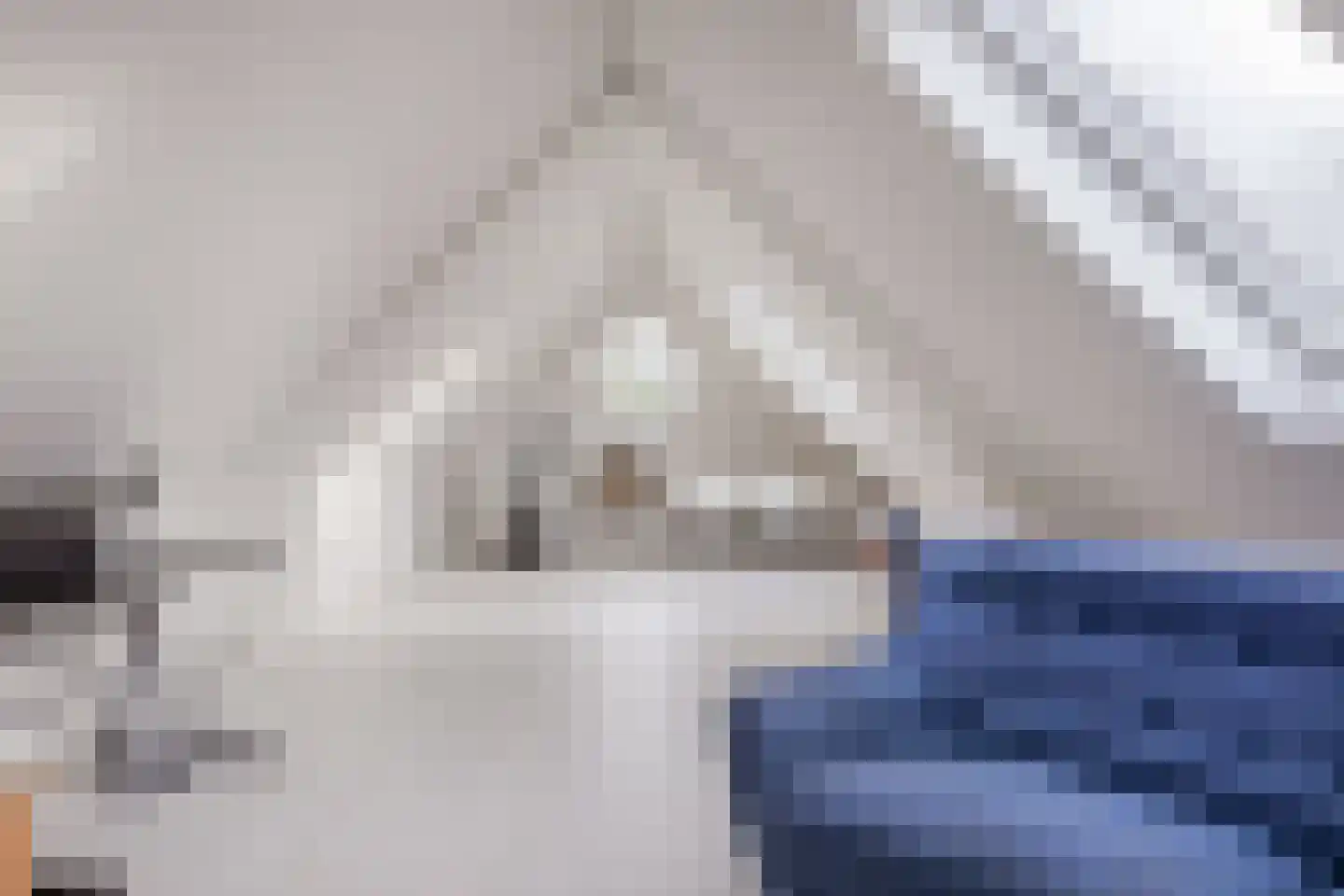 Cornelis van Foreestlaan 6 Schoorl thumbnail 23