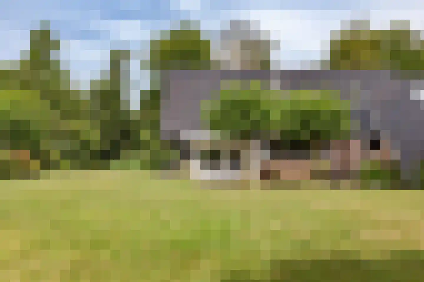 Cornelis van Foreestlaan 6 Schoorl thumbnail 25