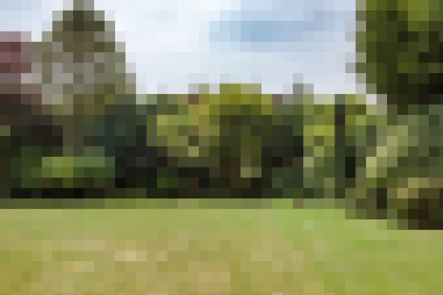 Cornelis van Foreestlaan 6 Schoorl thumbnail 27