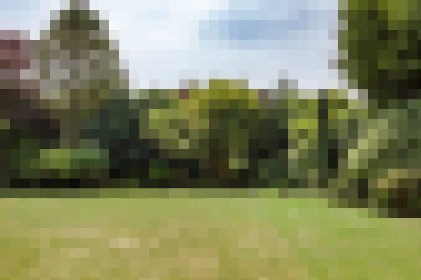 Cornelis van Foreestlaan 6 Schoorl thumbnail 27