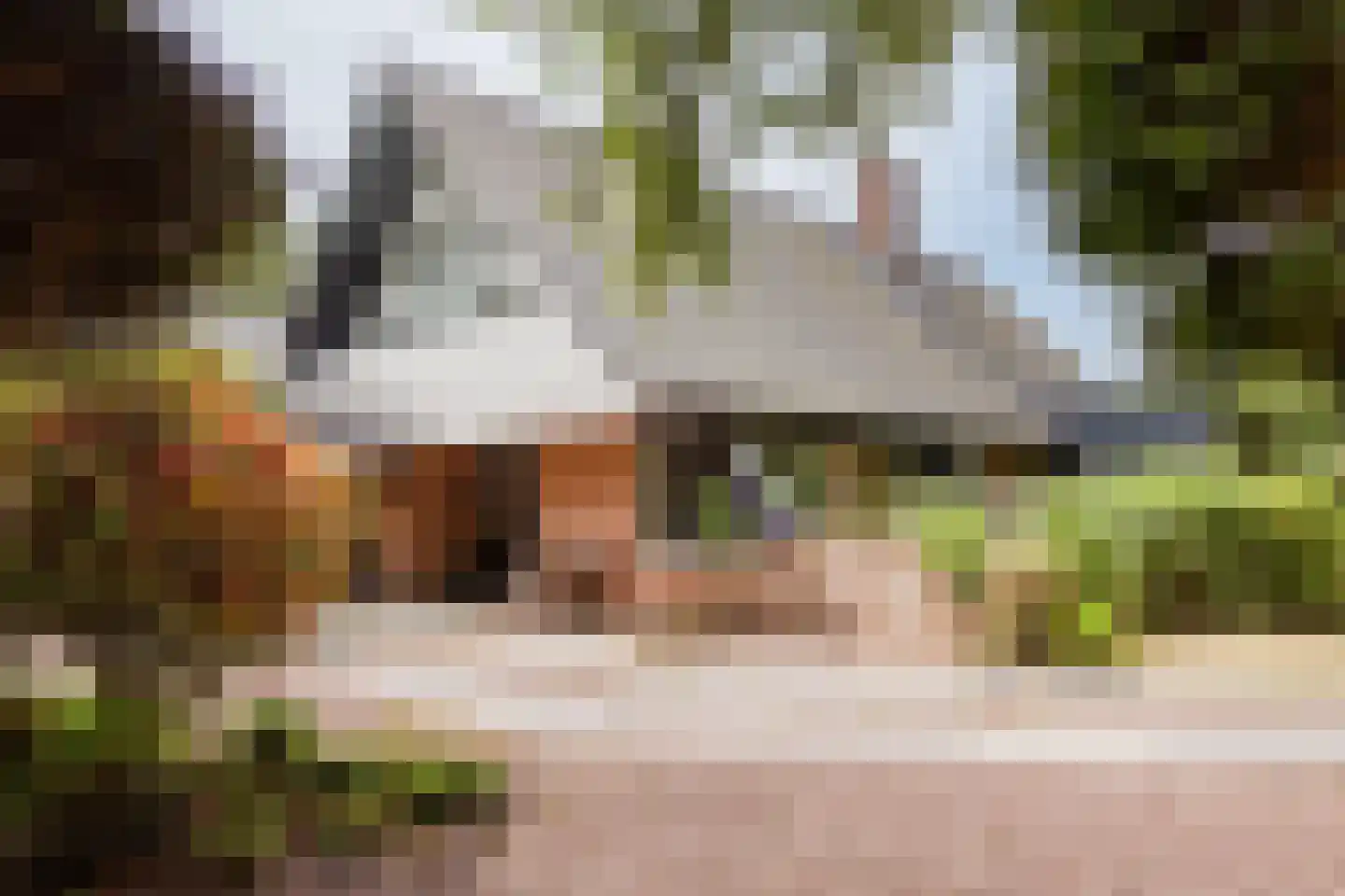 Cornelis van Foreestlaan 6 Schoorl thumbnail 28