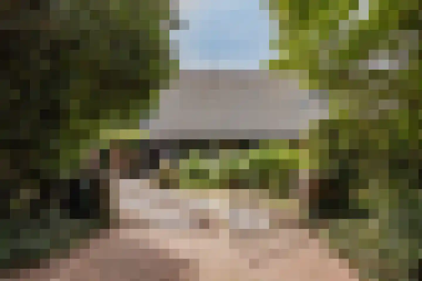 Cornelis van Foreestlaan 6 Schoorl thumbnail 29