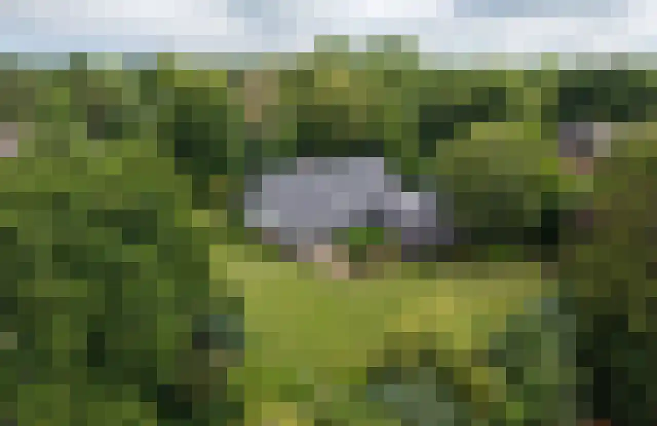 Cornelis van Foreestlaan 6 Schoorl foto 3