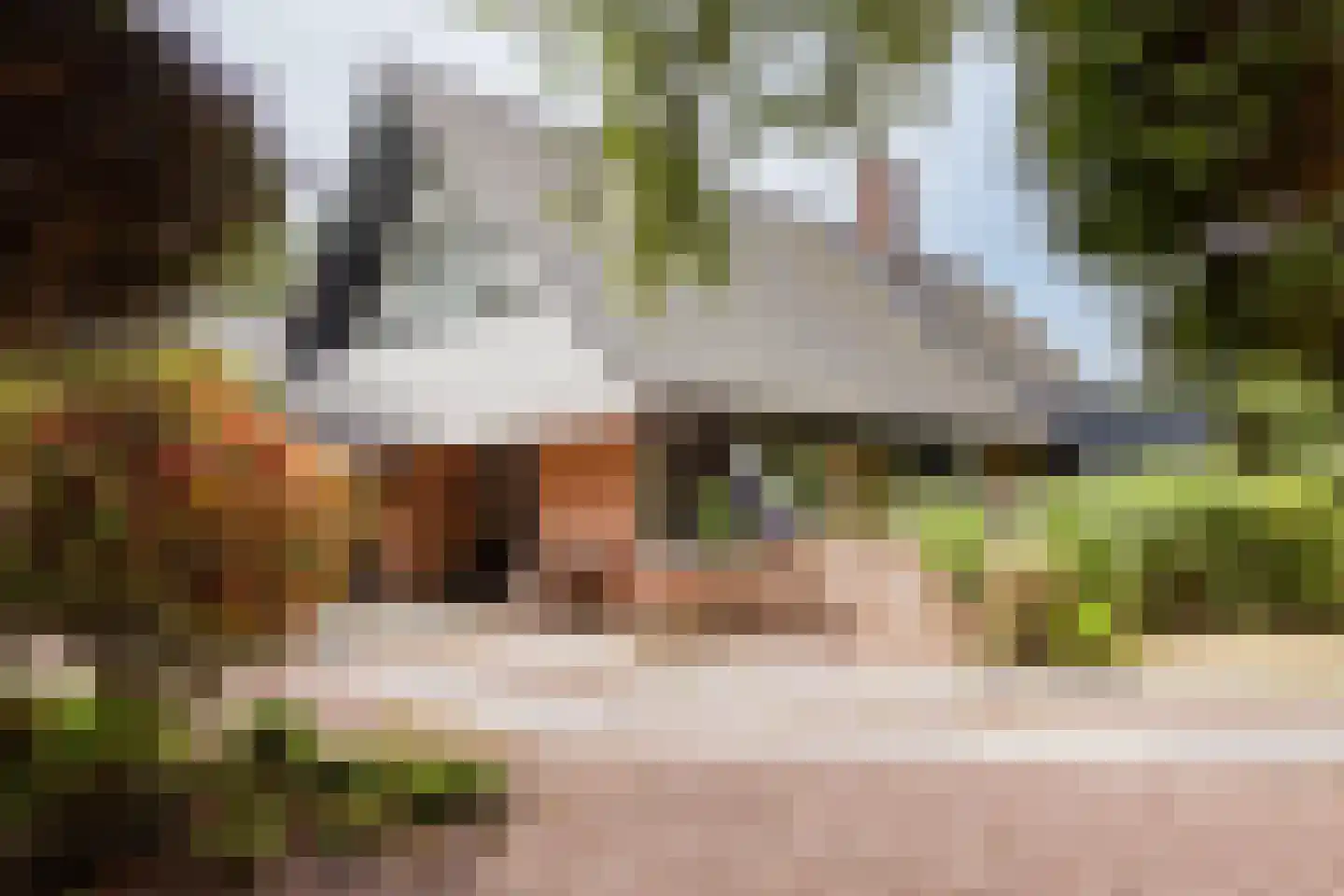 Cornelis van Foreestlaan 6 Schoorl foto 3